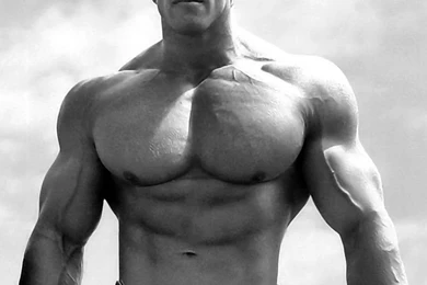 Beautiful Wallpapers: Top Bodybuilders Pictures