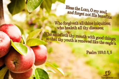 Scripture Verse Wallpapers On Pinterest