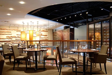 Black And Blue Rochester Ny 49 Free Wallpapers   Hdblackwallpaper.com