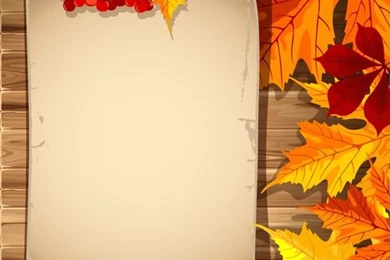 Autumn Elements And Gold Leaves Backgrounds Vector 01   Vector ...