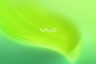 Wallpaper, Search, Monitor, Green, Sony, Pictures, Paint (