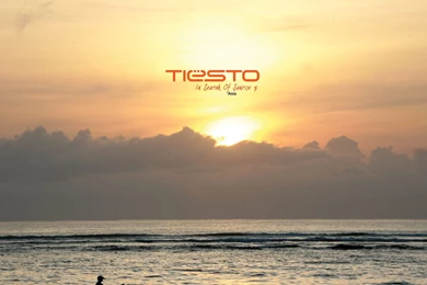 Cute Chameleon Drawing   Wallpaper.