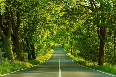 Scenery Wallpapers   Wallpapers Cave