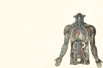 Medical Wallpapers   (