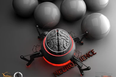 Brain Desktop Wallpapers By Mynorthshadow On DeviantArt