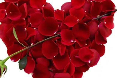 Valentine wallpaper for ipad.jpg