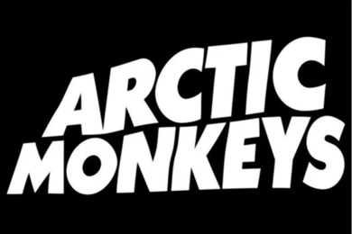 Arctic Monkeys Wallpapers On Pinterest