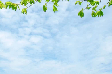 Download Blue Sky Nature Backgrounds Wallpapers