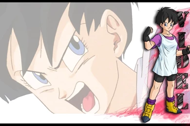 DBZ Warriors   Widescreen Dragon Ball Z Wallpapers Of Goku, Vegeta ...