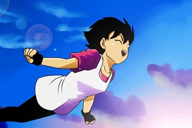 Videl 1   WallpaperIM