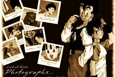 Dragon Ball Series  Gohan And Videl Favourites By AnimeLover56789 ...