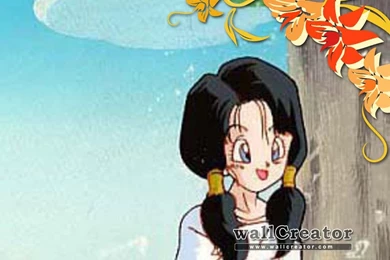 Videl Form Dbz   1024 / 768 Wallpapers