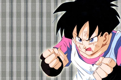 Videl 4   WallpaperIM