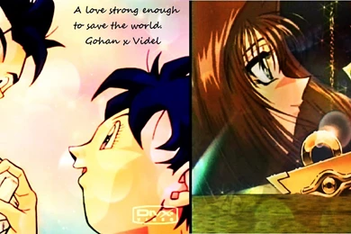 Gohan X Videl And Anzu X Yami Wallpapers By Artworx88 On DeviantArt