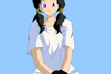 DRAGON BALL Z WALLPAPERS: Videl