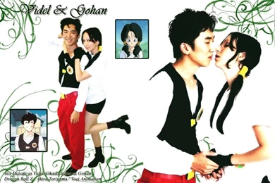 DeviantArt: More Like Wallpapers   Gohan X Videl By TeaMazaki