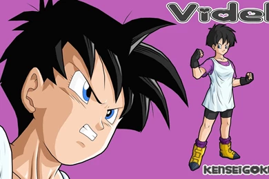 Videl Dbz Quotes. QuotesGram