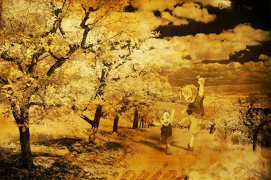 Ed & Al   Full Metal Alchemist Wallpapers (30275648)   Fanpop