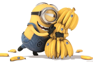 Download 2560x1600 Despicable Me 2 Banana Wallpapers