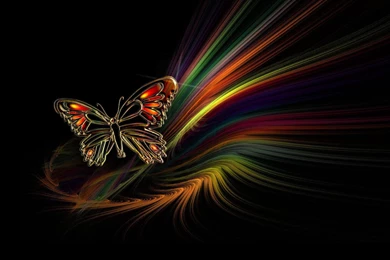 Beautiful Butterfly Abstract HD Wallpapers For Desktop Backgrounds ...