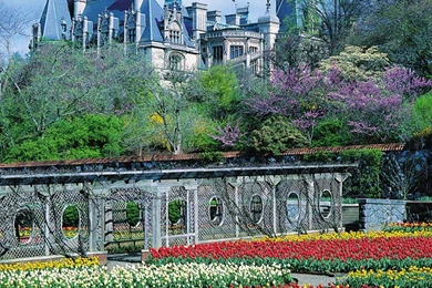 Biltmore Estate Gardens Wallpapers   (