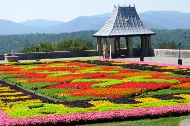 Biltmore Flower Carpet 1218477 Wallpapers   (