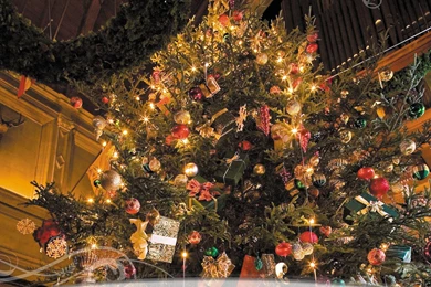 Biltmore House Christmas Tree Houses Architecture Xmas Houses ...