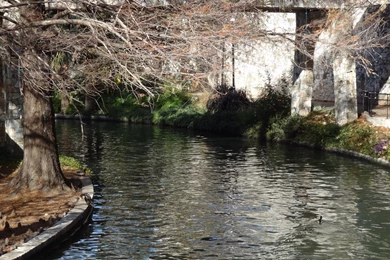 Wide Wallpapers Page 403: Biltmore House Rear Houses Architecture ...