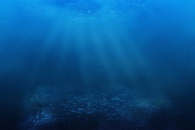 3PLs And Logistics Investors – Wake Up To The New Blue Ocean ...