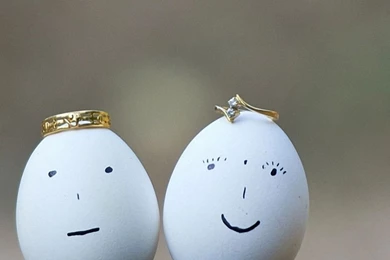 Cute Iphone Wallpapers Hd.