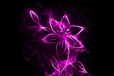 Free Wallpapers, Windows Wallpaper, Tablet Desktop Images ...