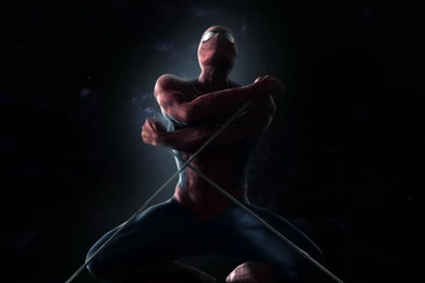 Amazing Spider Man   1458607