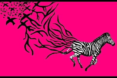 DeviantArt: More Like Zebra Wallpapers Pink By Butterflywisper