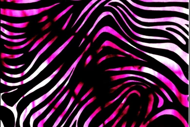 Pink_zebra_wallpaper.jpg