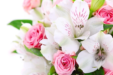 Flower wallpaper high resolution.jpg