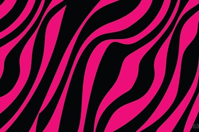 Wallpapers Pictures Photos: Hot Pink Zebra Pictures