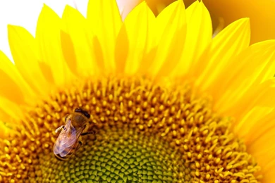 40 Cool High Resolution Wallpapers