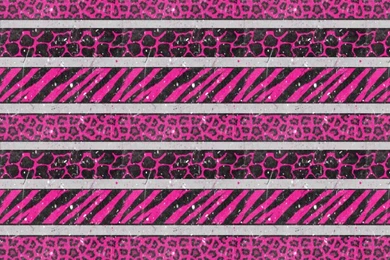 Pink Leapord Turtle Zebra iPhone Wallpapers