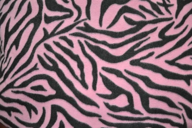 Pink And Black Zebra Print 19 Free Hd Wallpapers   Hdblackwallpaper.com