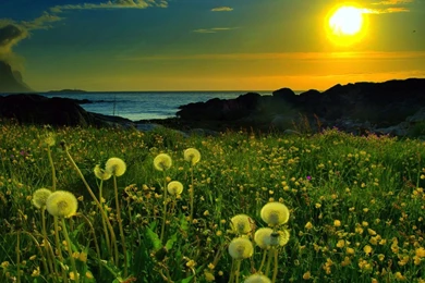 Mobile Wallpapers Sites   Wallpapers HD Wide