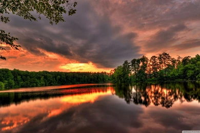 Wallpapers Forest Sunset In River X Samsung Galaxy Tab 2560x1440 ...