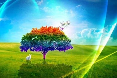 Free Mobile Wallpapers Sites   HD Wallpapers Lovely