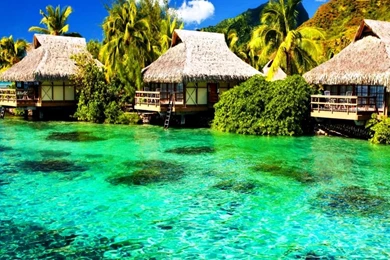 Desktop Wallpapers Nature Scenes   HD Wallpapers Pretty