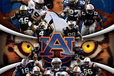 Auburn Tiger Pictures   HD Wallpapers Lovely
