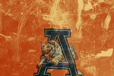 AuburnTigers On Pinterest