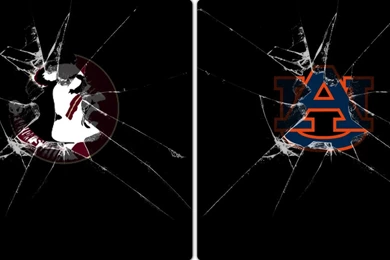 Animals Wallpapers   HD Desktop Backgrounds   Page 68