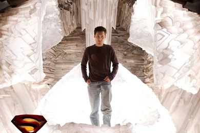Stephan Bender   Stephan Bender In Superman Returns Wallpapers 9 ...