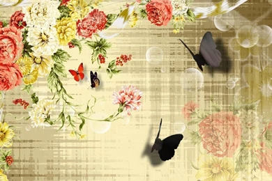 Vintage Butterfly Wallpapers   Widescreen HD Wallpapers