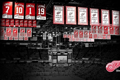 2012 13 DRW Wallpapers Detroit Red Wings Multimedia