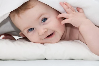 HD Wallpapers Freebie   Quality Free Download Wallpapers